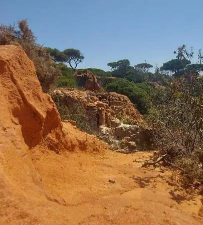 Apartamento Jeannie's Oura Estrela Albufeira