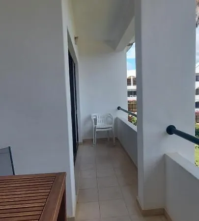 Jeannie's Oura Estrela