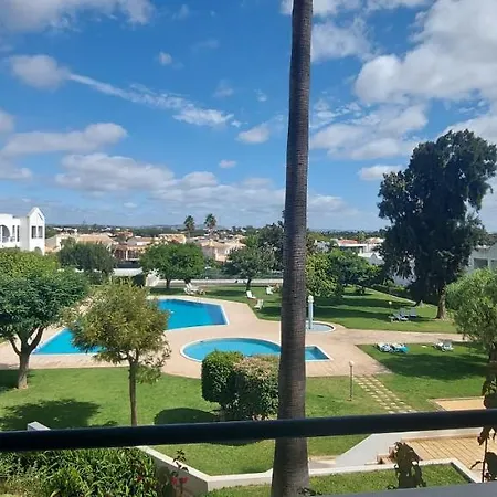 Jeannie's Oura Estrela *