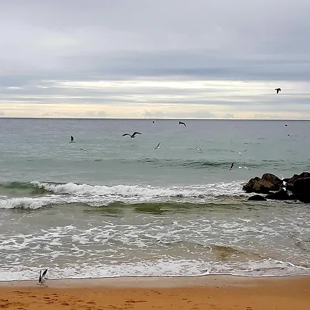 Jeannie's Oura Estrela * 阿尔布费拉