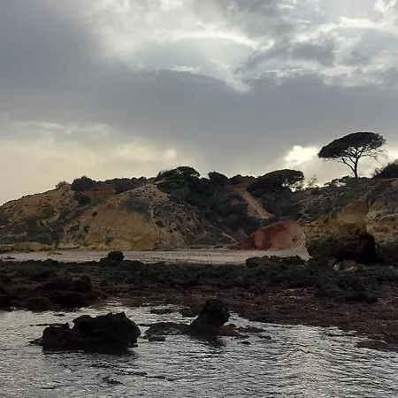 Jeannie's Oura Estrela * 阿尔布费拉