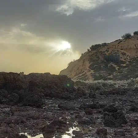 Jeannie's Oura Estrela