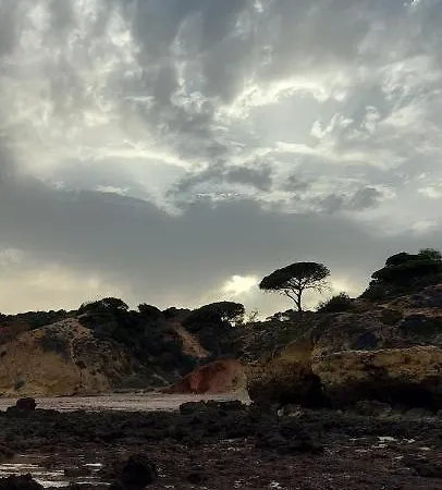 Jeannie's Oura Estrela Apartment *