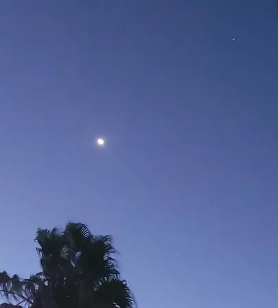 Jeannie's Oura Estrela *