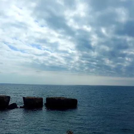 Jeannie's Oura Estrela