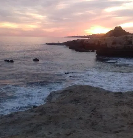 Jeannie's Oura Estrela