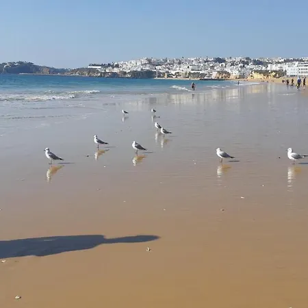 Jeannie's Oura Estrela 阿尔布费拉