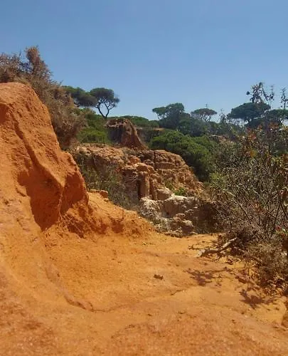 Apartamento Jeannie's Oura Estrela Albufeira