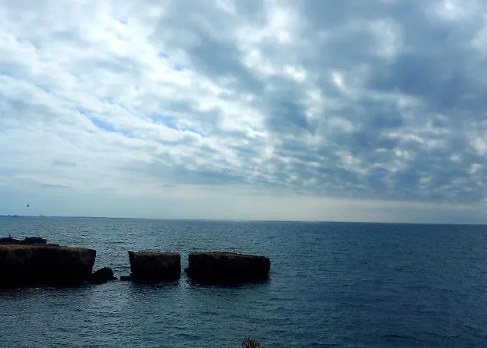 Jeannie's Oura Estrela