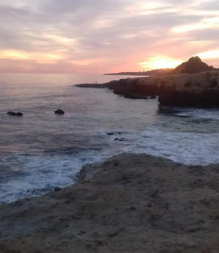 Jeannie's Oura Estrela